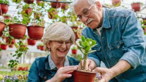 The Life Hacks for Happy Gardening: Grow, Relax, and Reconnect